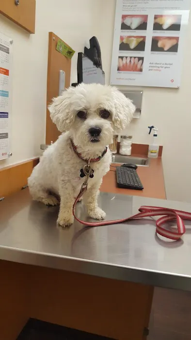 Banfield Pet Hospital Picture 3