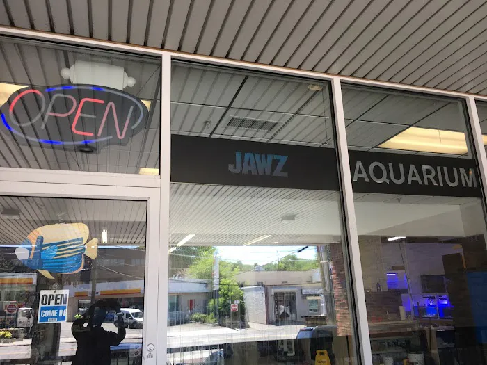 Jawz Aquarium Picture 1