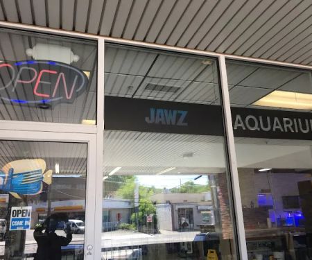 Jawz Aquarium