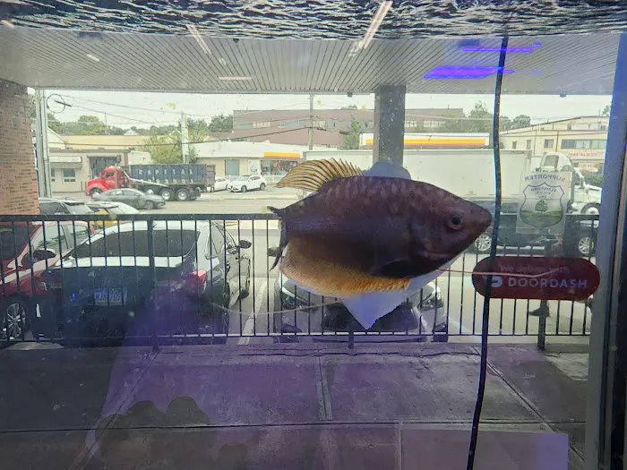 Jawz Aquarium Picture 2