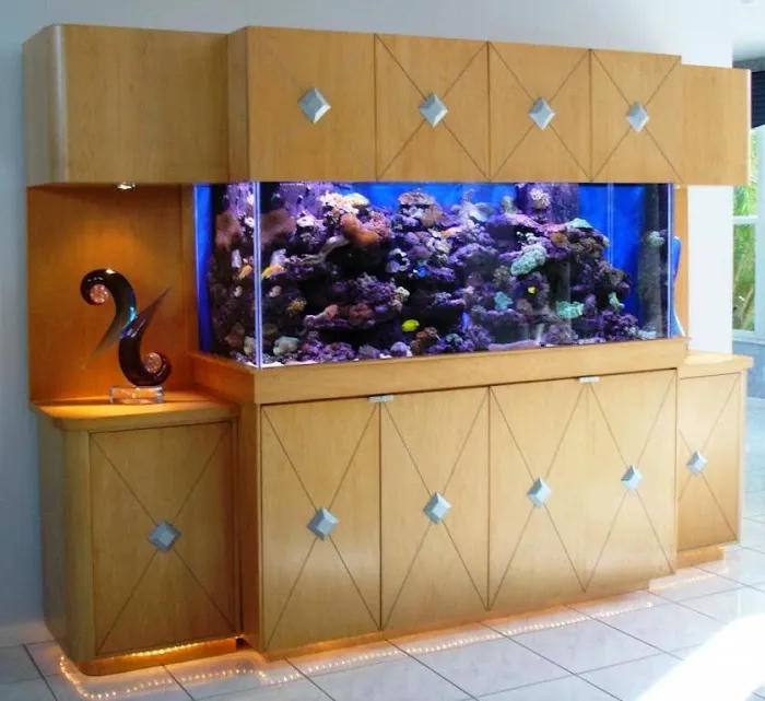 Jawz Aquarium Picture 8