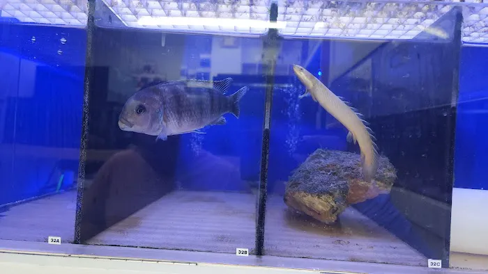 Jawz Aquarium Picture 3