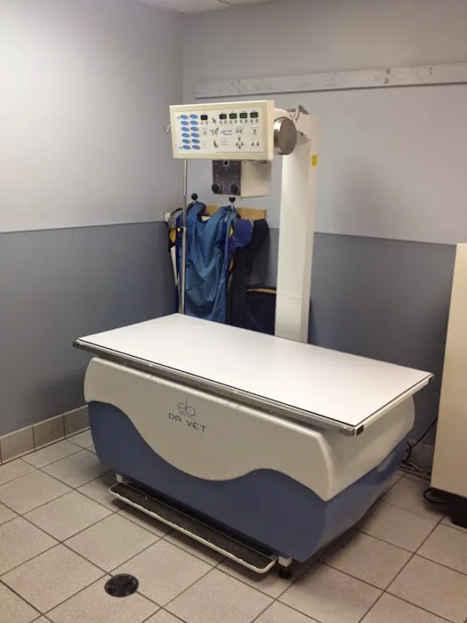 Island Trees Veterinary Hospital Picture 9