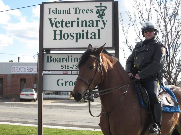 Island Trees Veterinary Hospital Picture 7