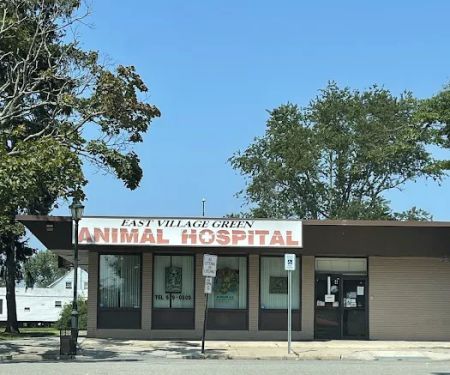 East Village Green Animal Hospital