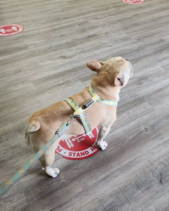 East Village Green Animal Hospital Picture 9