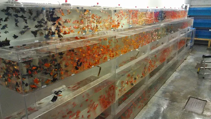 Aquatics & More (wholesale only) Picture 2