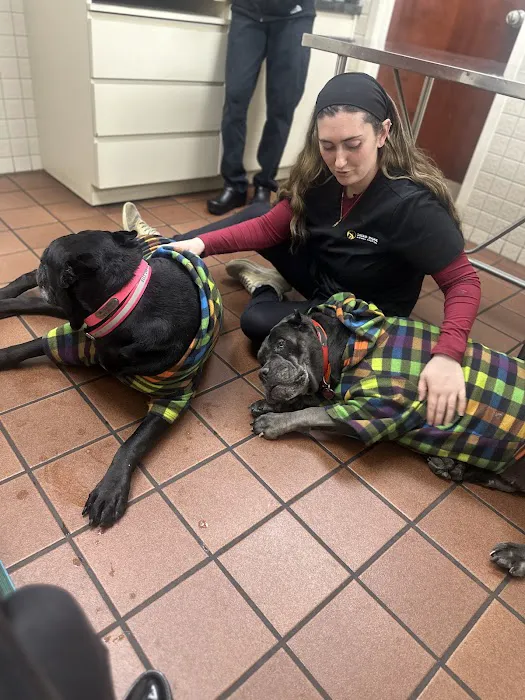 Deer Park Animal Hospital Picture 10