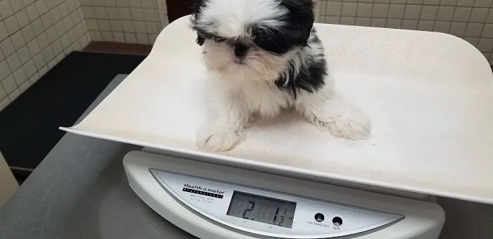Deer Park Animal Hospital Picture 6