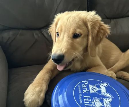 Park Hills Animal Hospital