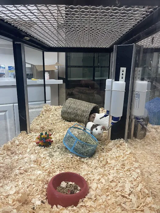 BM Exotic Pets Picture 6