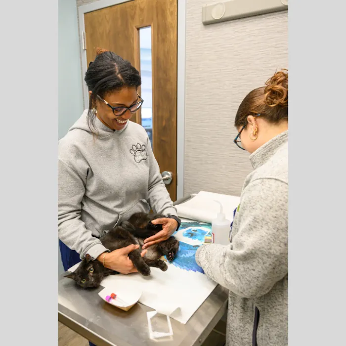 Oath Animal Hospital Picture 10