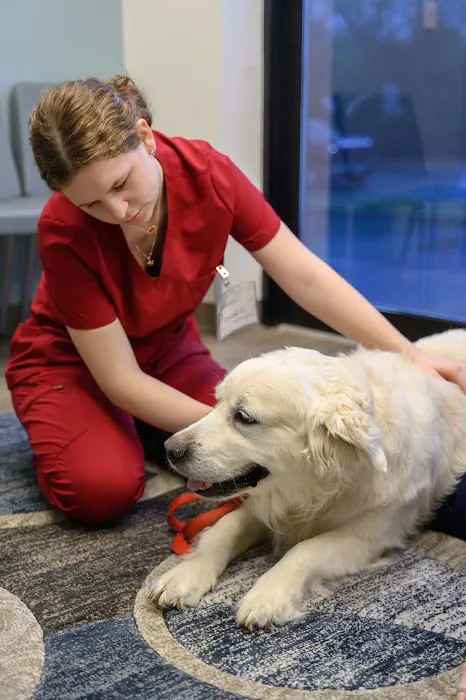 Oath Animal Hospital Picture 6