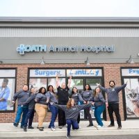 Oath Animal Hospital ico