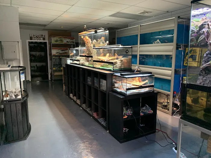 A & R Reptiles and Aquariums Picture 5