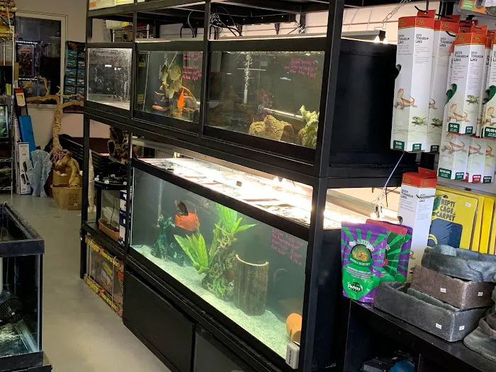 A & R Reptiles and Aquariums Picture 9