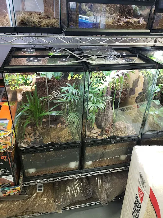 A & R Reptiles and Aquariums Picture 6