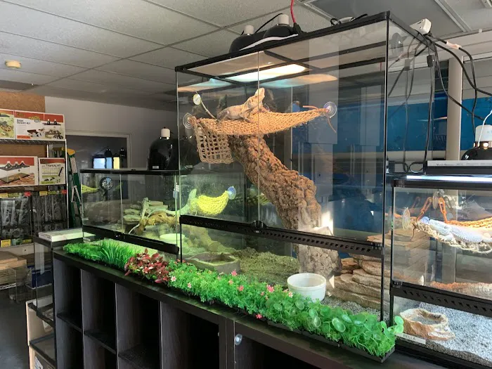 A & R Reptiles and Aquariums Picture 7