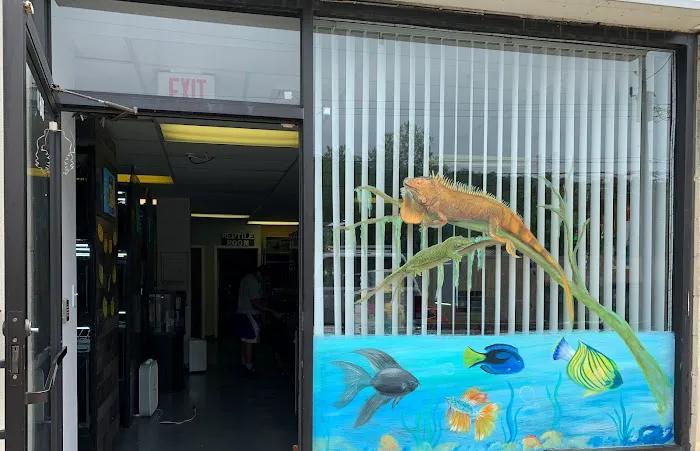 A & R Reptiles and Aquariums Picture 3