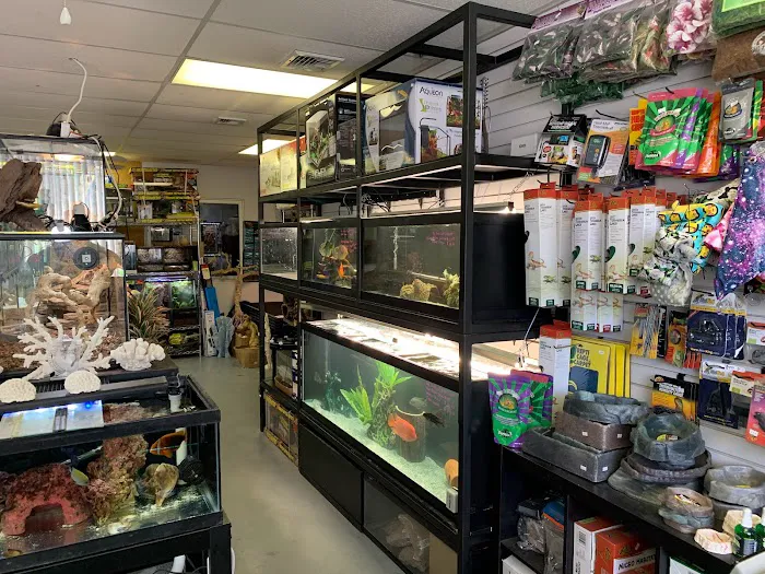 A & R Reptiles and Aquariums Picture 8
