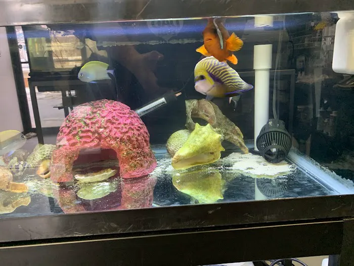 A & R Reptiles and Aquariums Picture 2