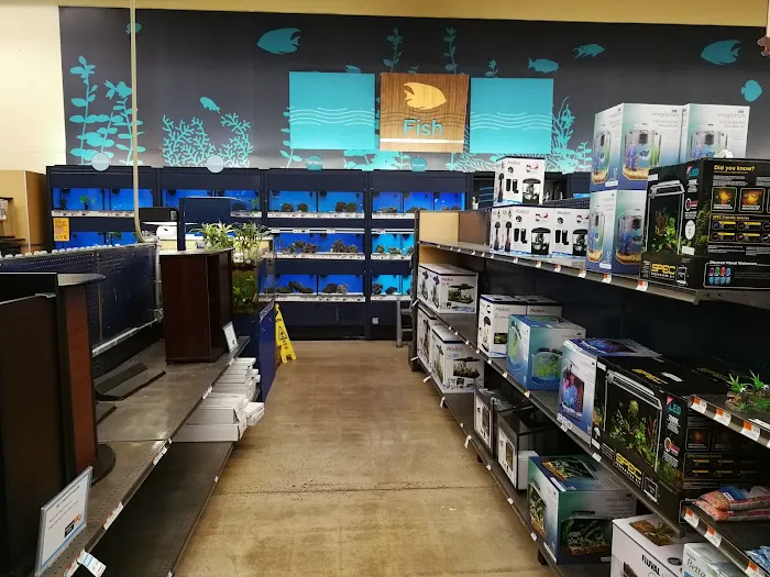 Petco Picture 7