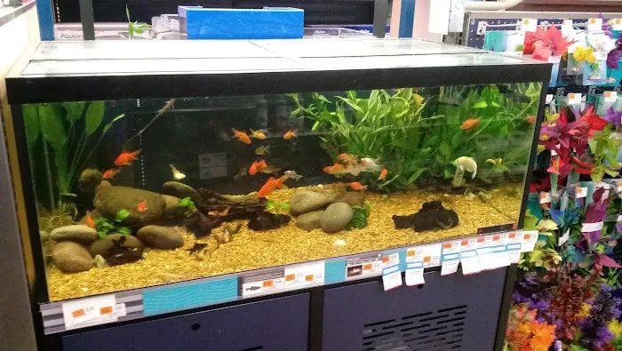 Petco Picture 6