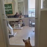 Petco