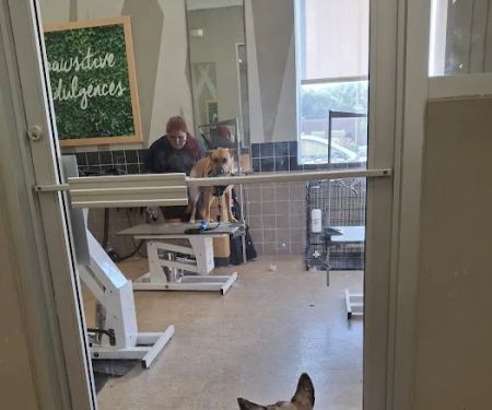 Petco