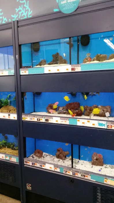 Petco Picture 4