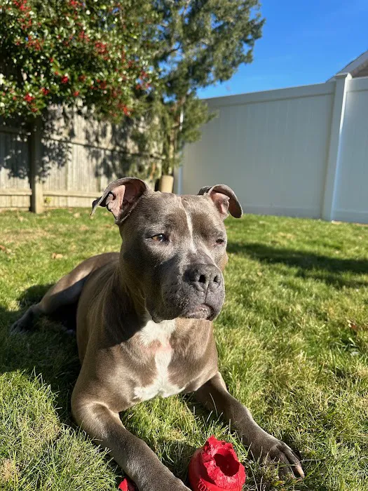 East Bay Veterinary Hospital Picture 4