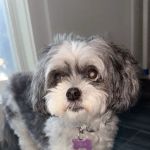 East Bay Veterinary Hospital