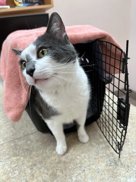 East Bay Veterinary Hospital Picture 2