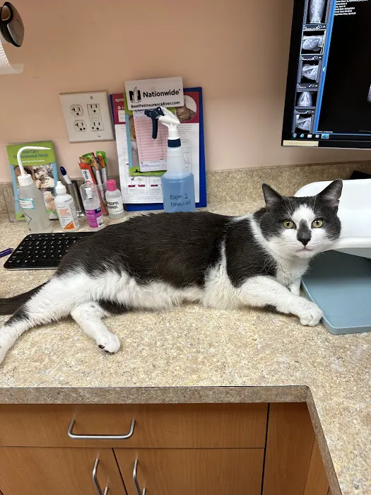 East Bay Veterinary Hospital Picture 5