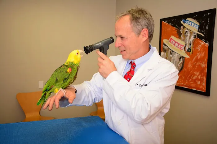 East Bay Veterinary Hospital Picture 6