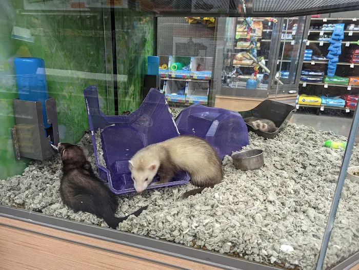 Petco Picture 6