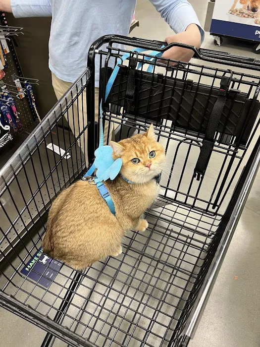Petco Picture 5