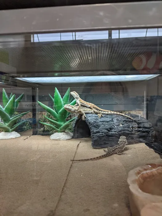 Petco Picture 9