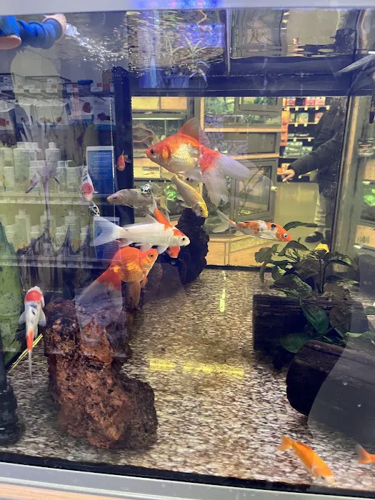 Petco Picture 2