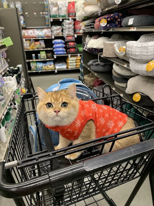 Petco Picture 1