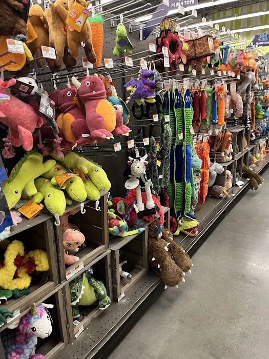 Petco Picture 8