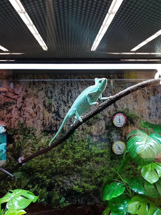 Petco Picture 7