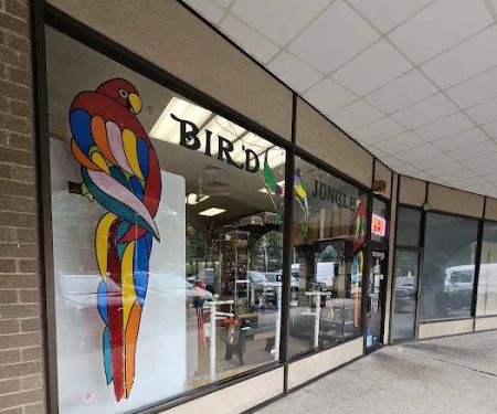 Bird Jungle