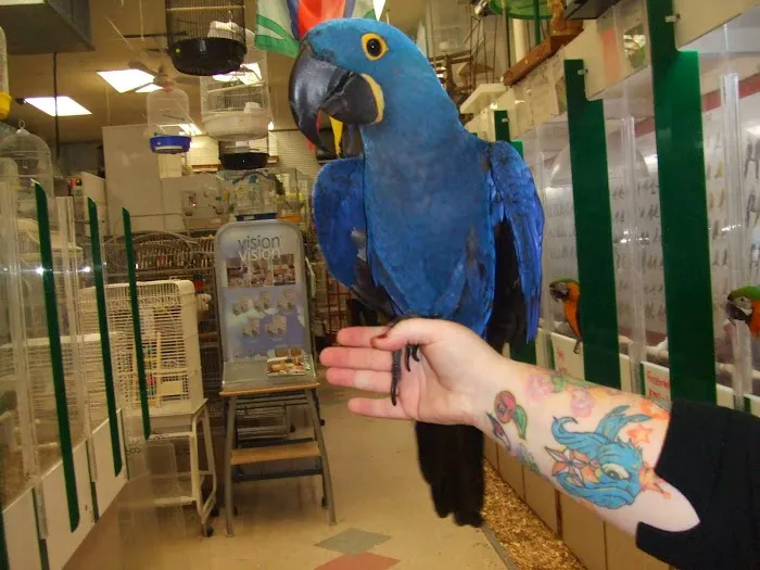 Bird Jungle Picture 10