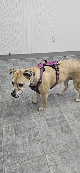 Island Rescue Picture 7