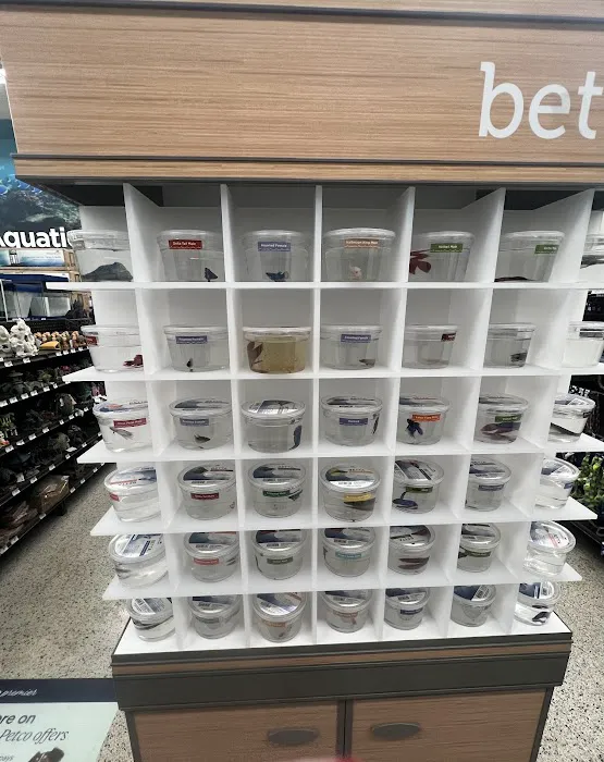 Petco Picture 8