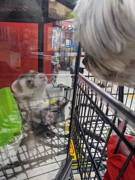 Petco Picture 6