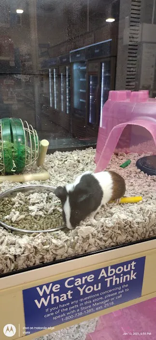 Petco Picture 5