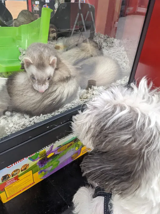 Petco Picture 3