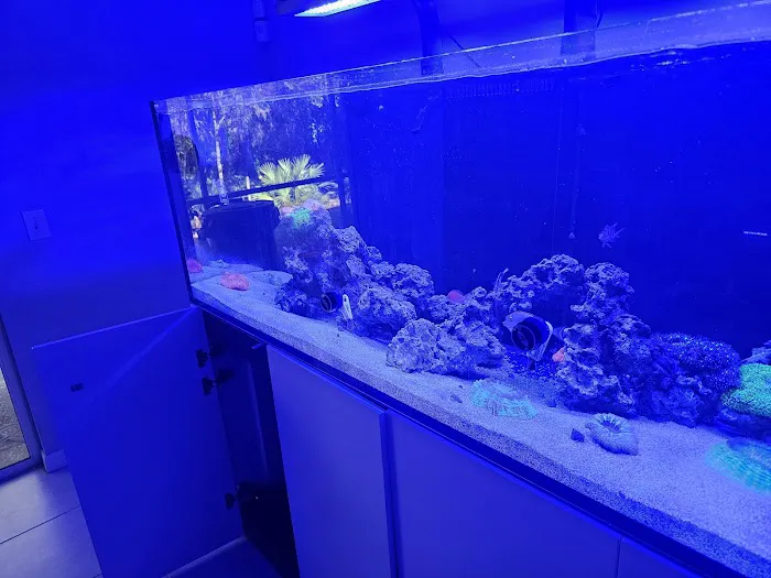 Michael's NYAquatic Picture 1